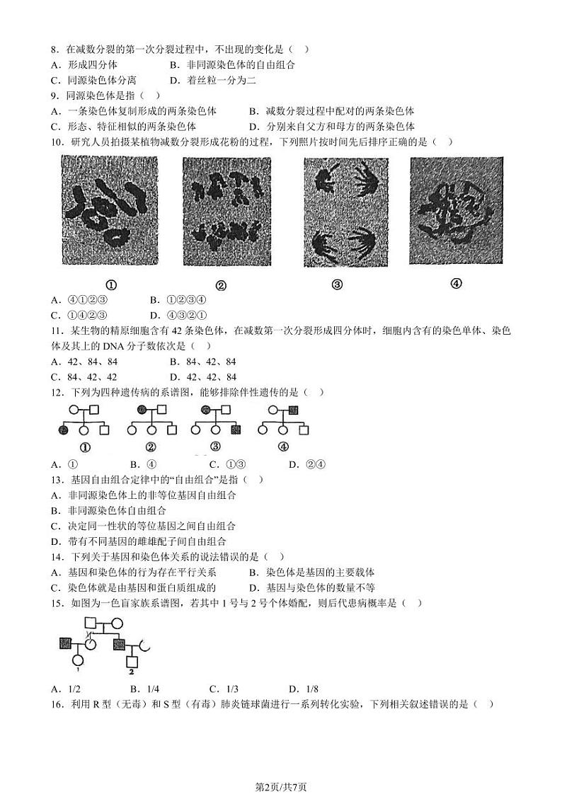 2024北京交大附中高一下学期期中生物试卷02
