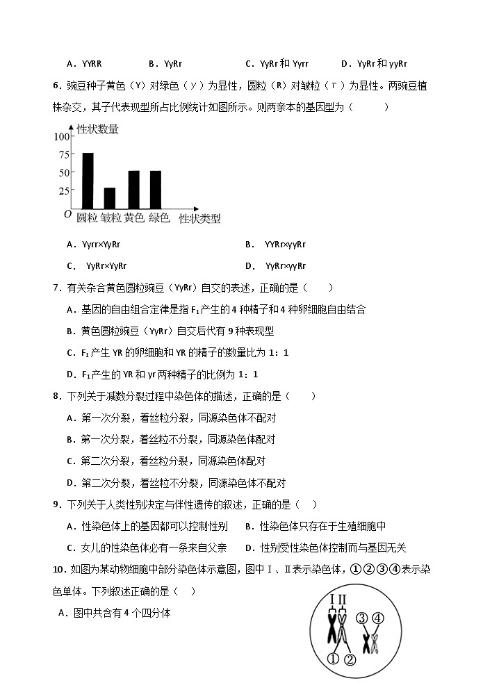 河北省衡水市武强中学2023-2024学年高一下学期期中考试生物试卷（Word版附答案）02
