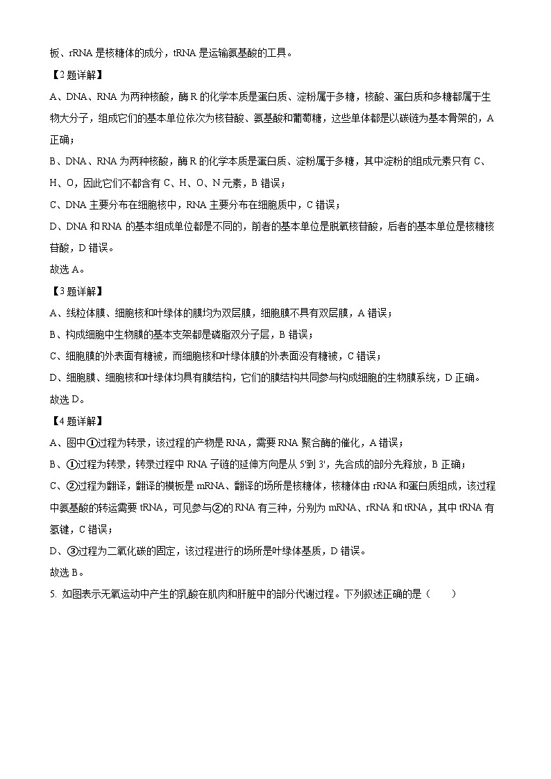 2024届广东省高三二模考试生物试题（原卷版+解析版）03