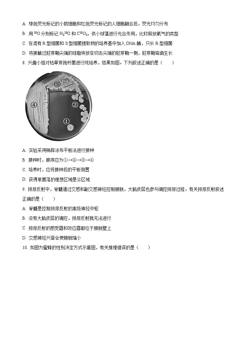 2024届广东省高三二模考试生物试题（原卷版+解析版）03
