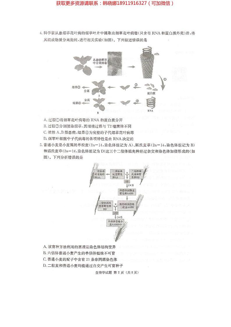 2024届湖南省炎德英才名校联考联合体高三下学期考前仿真联考一生物试题及参考答案02