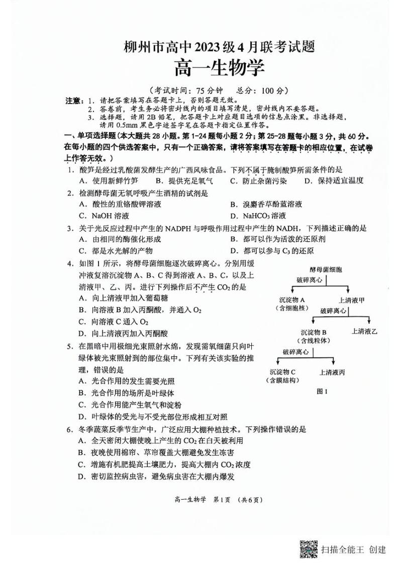 广西柳州市高中2023-2024学年高一下学期4月联考生物试题01