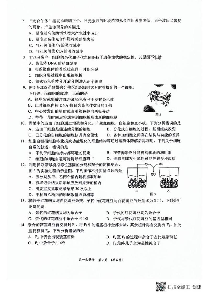 广西柳州市高中2023-2024学年高一下学期4月联考生物试题02