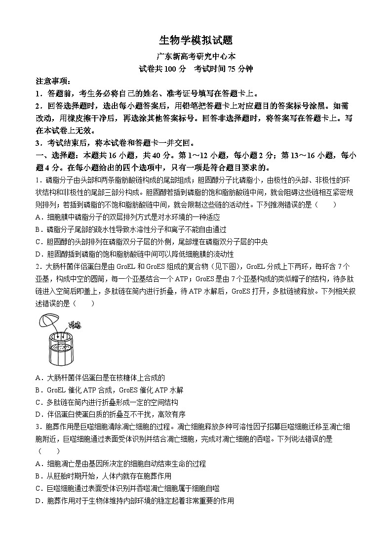 广东省广州市番禺区仲元中学2023-2024学年高三下学期一模考试生物试题01