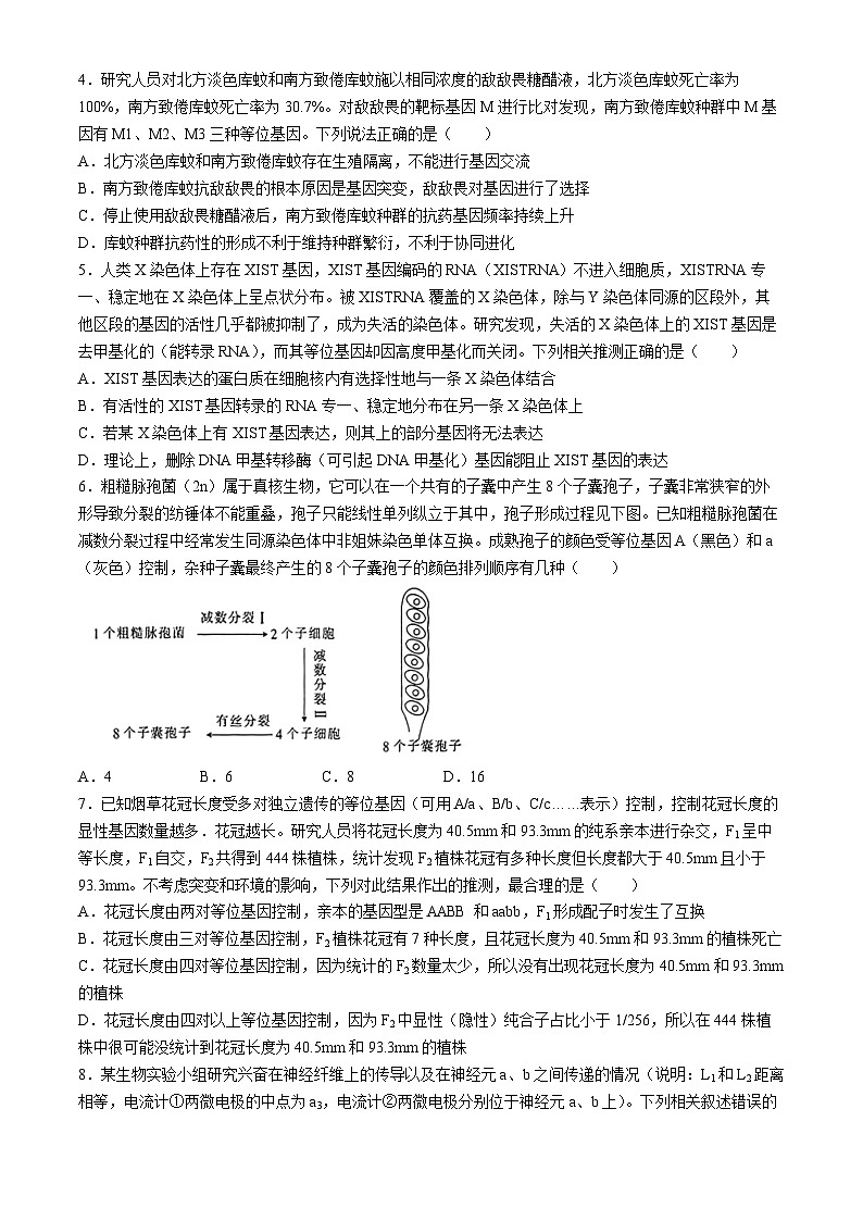 广东省广州市番禺区仲元中学2023-2024学年高三下学期一模考试生物试题02