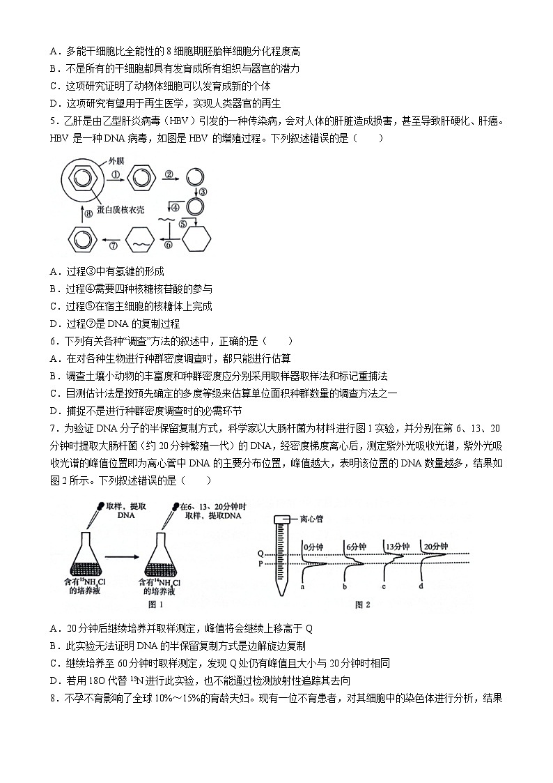 吉林省松原市2024届高三下学期4月联考生物试题02