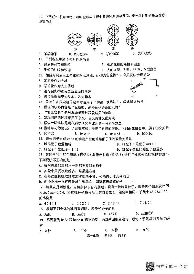 江苏省扬州市树人中学2023-2024学年高一下学期期中考试生物试卷03