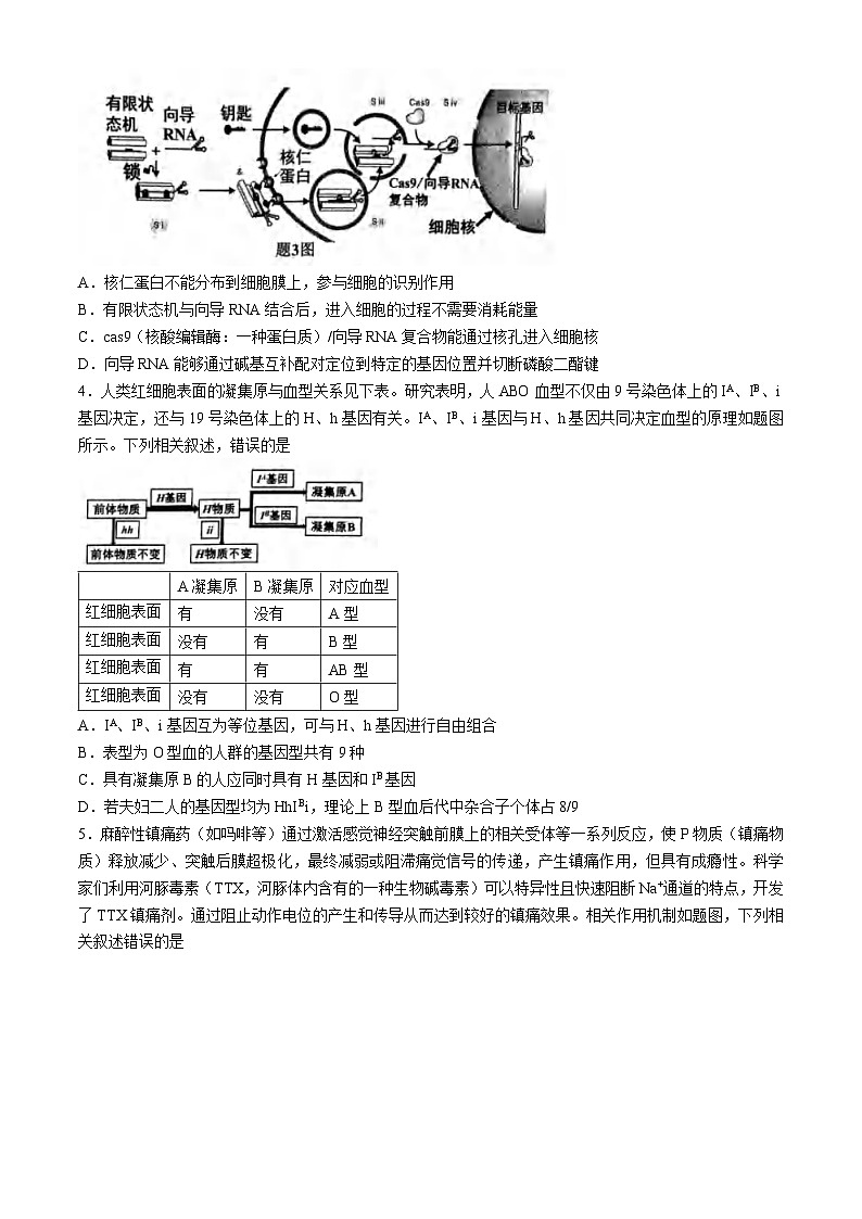 2024届重庆市九龙坡高三学业质量调研抽测(第二次)生物试题第2页