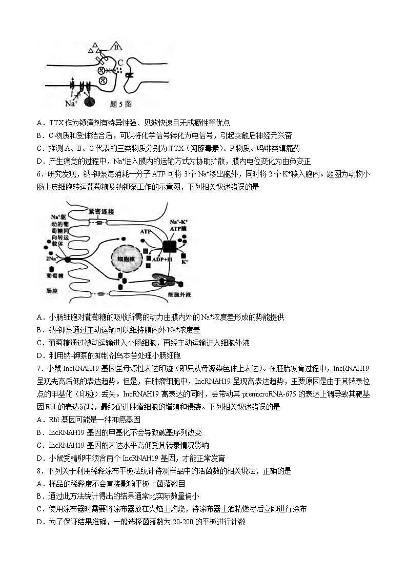2024届重庆市九龙坡高三学业质量调研抽测(第二次)生物试题第3页