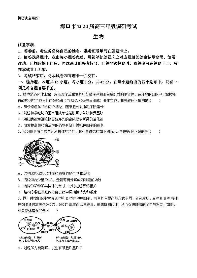 2024届海南省海口市高三下学期一模生物试题(无答案)01