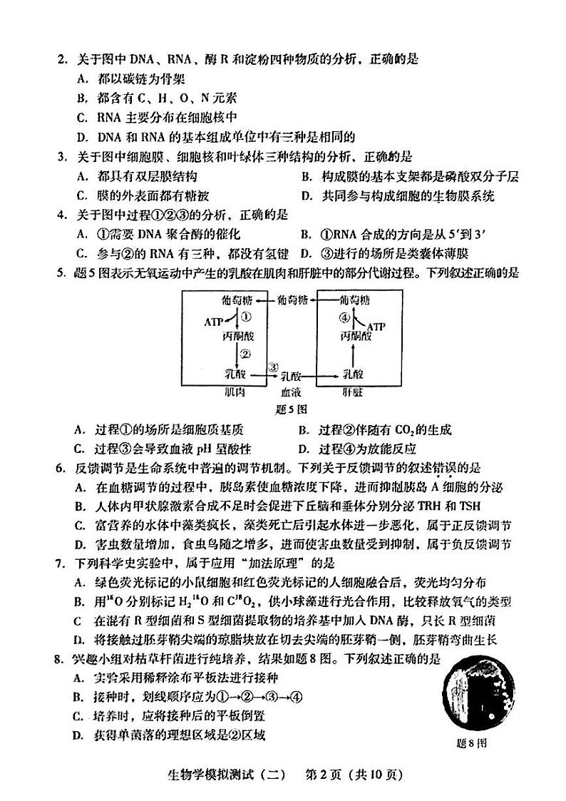 2024广东省高三下学期二模试题生物PDF版含答案02