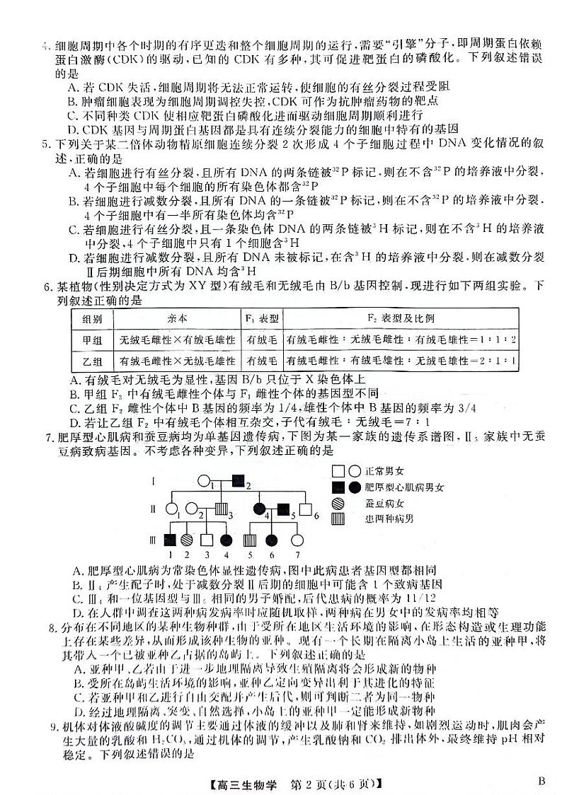 河北金科大联考2024届高三4月质量检测生物试题第2页