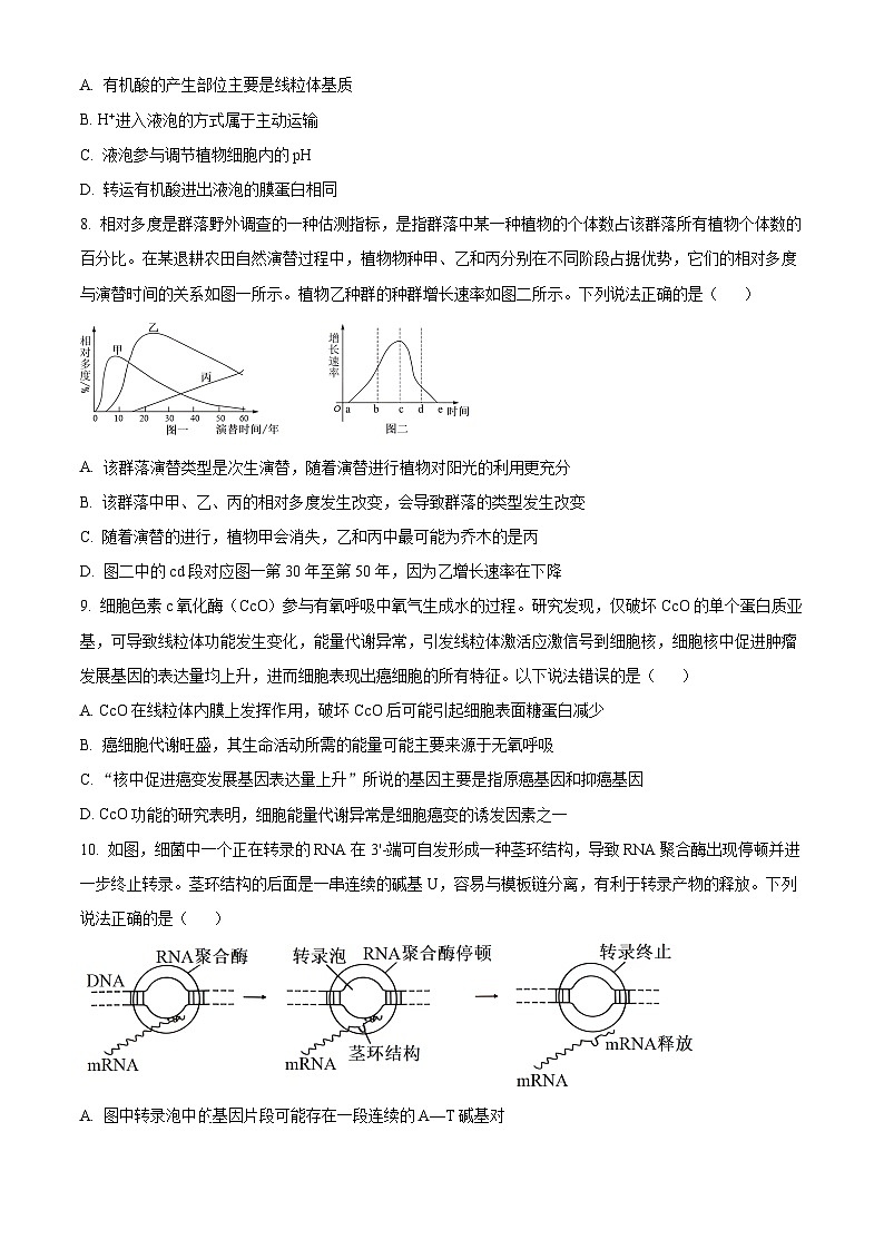 2024年广西高三三模考试生物试题（原卷版+解析版）03