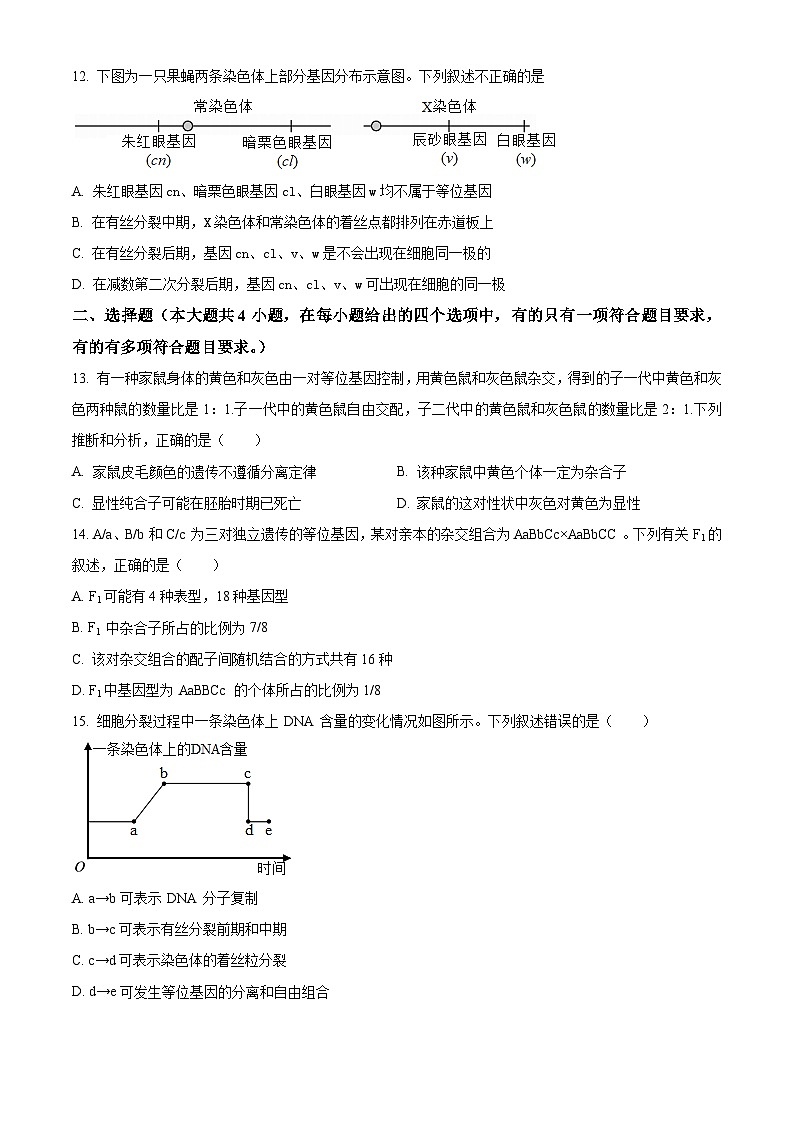 陕西省韩城市2023-2024学年高一下学期期中考试生物试题（原卷版+解析版）03