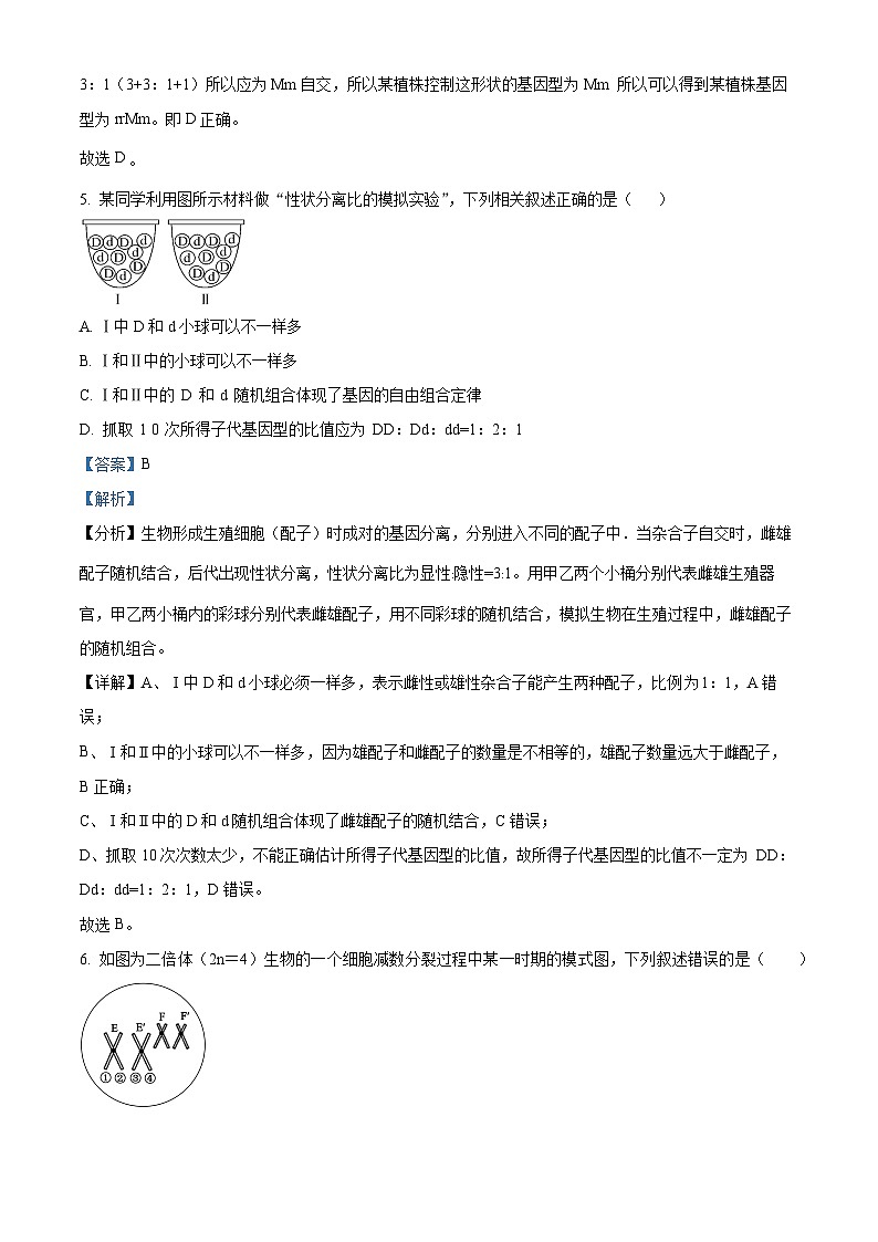 陕西省韩城市2023-2024学年高一下学期期中考试生物试题（原卷版+解析版）03