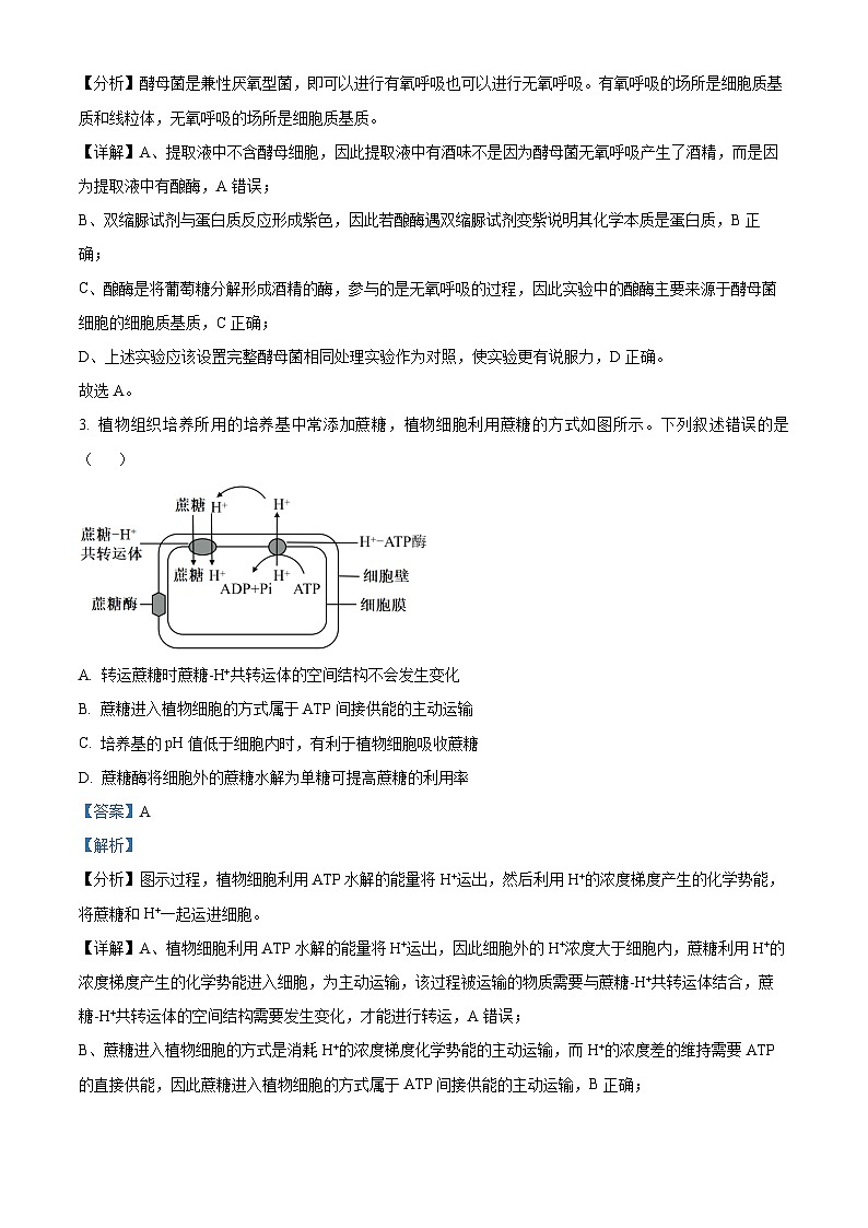 内蒙古自治区呼和浩特市新城区第二中学2023-2024年高三二模考试生物试题（解析版）第2页