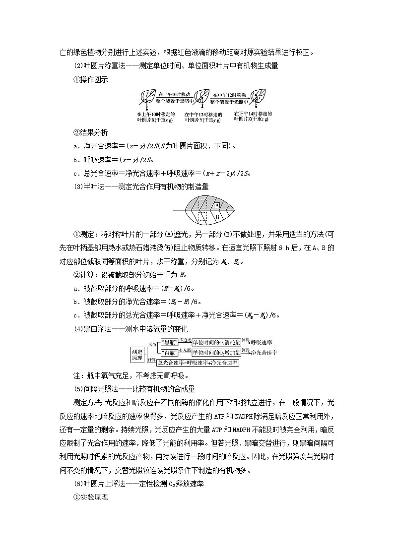 2025版高考生物一轮总复习教案必修1微专题3植物“三率”的判定及测定第2页