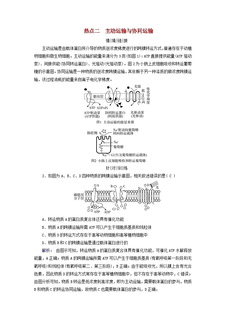 2025版高考生物一轮总复习教案必修1情境拓展1信号识别与囊泡运输主动运输三种类型热点二主动运输与协同运输01