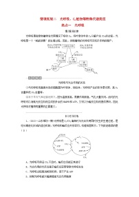 2025版高考生物一轮总复习教案必修1情境拓展2光呼吸C4植物等特殊代谢类型热点一光呼吸