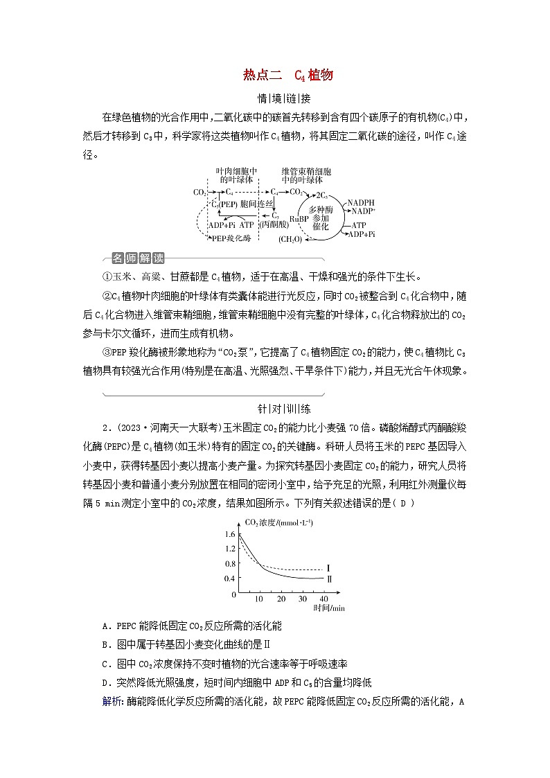 2025版高考生物一轮总复习教案必修1情境拓展2光呼吸C4植物等特殊代谢类型热点二C4植物第1页
