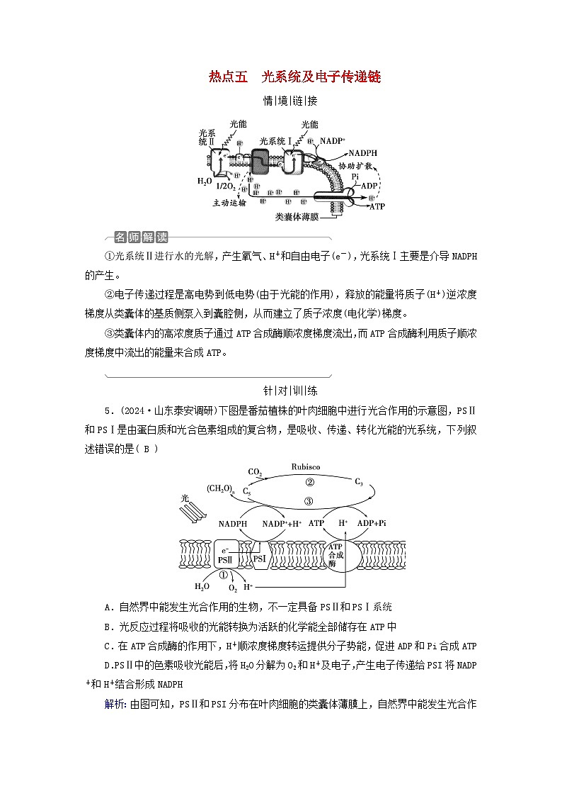 2025版高考生物一轮总复习教案必修1情境拓展2光呼吸C4植物等特殊代谢类型热点五光系统及电子传递链第1页
