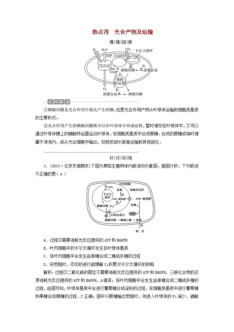 2025版高考生物一轮总复习教案必修1情境拓展2光呼吸C4植物等特殊代谢类型热点四光合产物及运输01