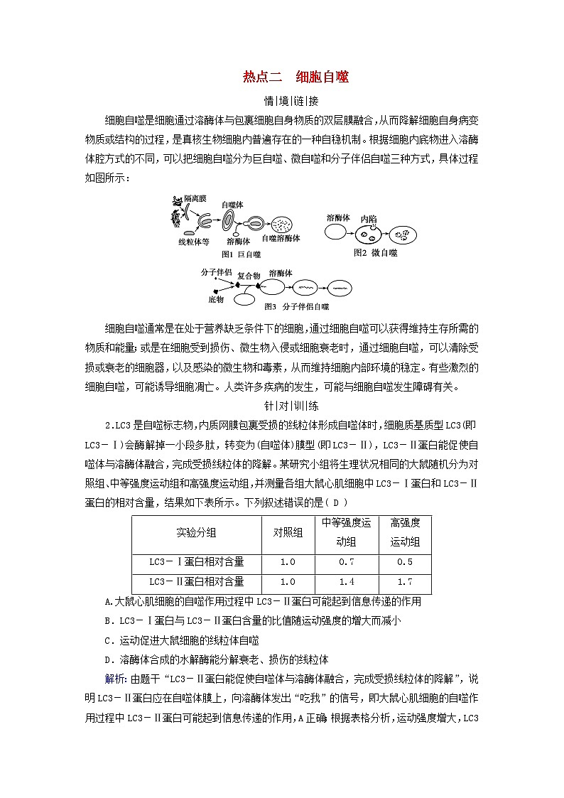2025版高考生物一轮总复习教案必修1情境拓展3细胞周期调控和细胞自噬热点二细胞自噬01