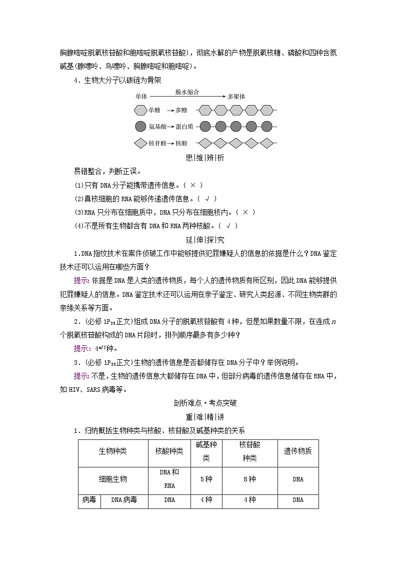 2025版高考生物一轮总复习教案必修1第一单元走近细胞和组成细胞的分子第三讲蛋白质和核酸考点二核酸的种类结构和功能02