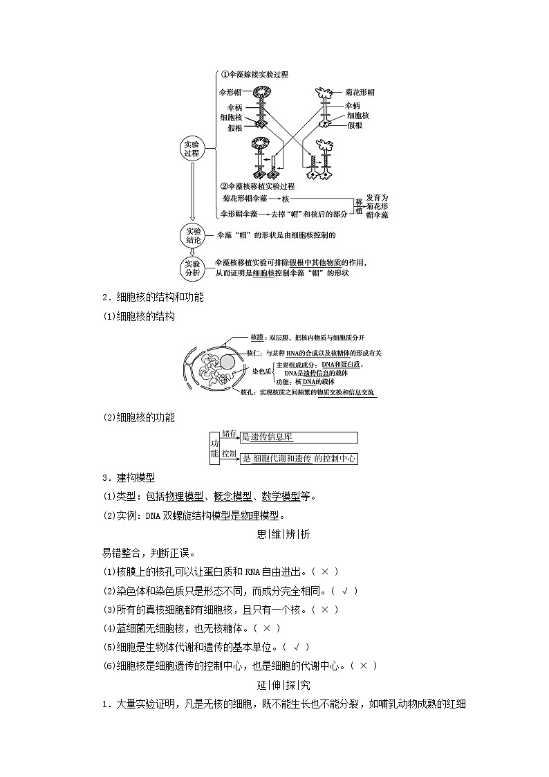 2025版高考生物一轮总复习教案必修1第二单元细胞的基本结构与物质输入和输出第一讲细胞膜和细胞核考点二细胞核的结构和功能第2页