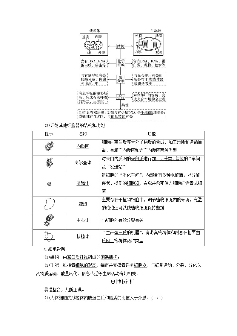2025版高考生物一轮总复习教案必修1第二单元细胞的基本结构与物质输入和输出第二讲细胞器和生物膜系统考点一主要细胞器的结构和功能02