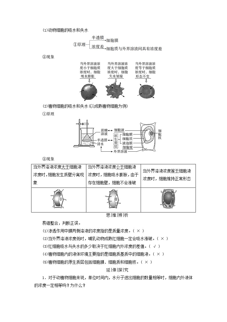 2025版高考生物一轮总复习教案必修1第二单元细胞的基本结构与物质输入和输出第三讲细胞的物质输入和输出考点一渗透作用与细胞的吸水和失水第2页