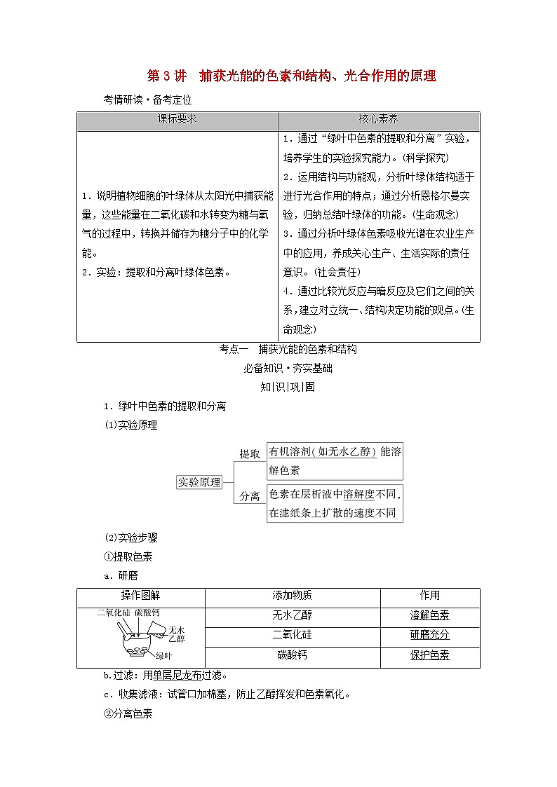 2025版高考生物一轮总复习教案必修1第三单元细胞的能量供应和利用第三讲捕获光能的色素和结构光合作用的原理考点一捕获光能的色素和结构01