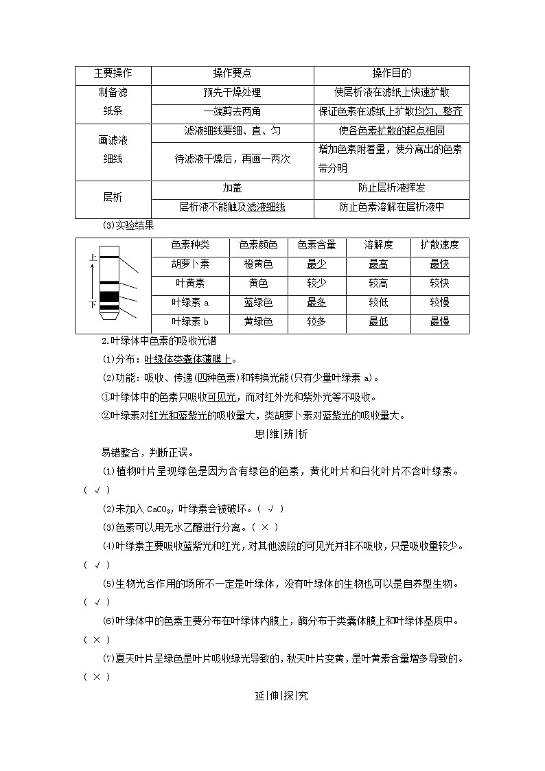 2025版高考生物一轮总复习教案必修1第三单元细胞的能量供应和利用第三讲捕获光能的色素和结构光合作用的原理考点一捕获光能的色素和结构02