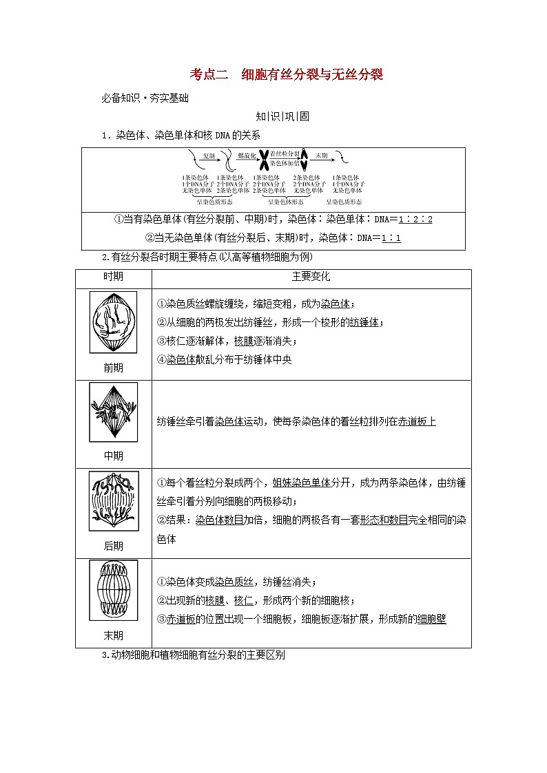 2025版高考生物一轮总复习教案必修1第四单元细胞的生命历程第一讲细胞的增殖考点二细胞有丝分裂与无丝分裂01