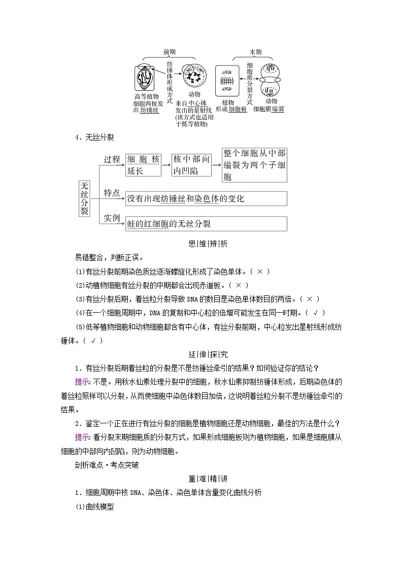 2025版高考生物一轮总复习教案必修1第四单元细胞的生命历程第一讲细胞的增殖考点二细胞有丝分裂与无丝分裂02