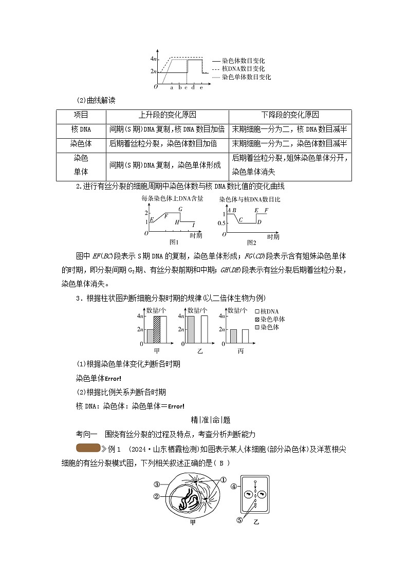 2025版高考生物一轮总复习教案必修1第四单元细胞的生命历程第一讲细胞的增殖考点二细胞有丝分裂与无丝分裂03