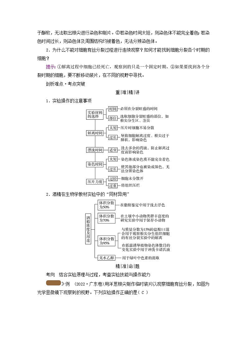 2025版高考生物一轮总复习教案必修1第四单元细胞的生命历程第一讲细胞的增殖考点三实验：观察根尖分生区组织细胞的有丝分裂02