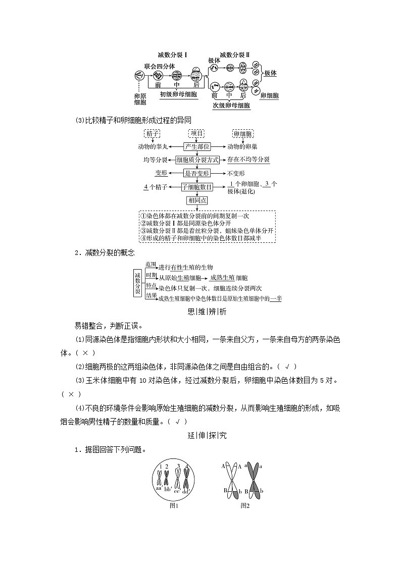 2025版高考生物一轮总复习教案必修1第四单元细胞的生命历程第二讲细胞的减数分裂和受精作用考点一减数分裂第2页