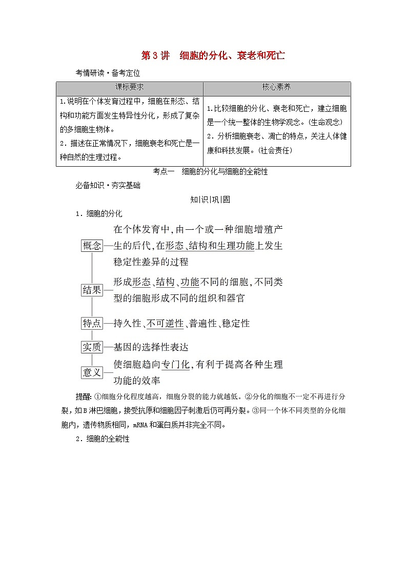 2025版高考生物一轮总复习教案必修1第四单元细胞的生命历程第三讲细胞的分化衰老和死亡考点一细胞的分化与细胞的全能性01