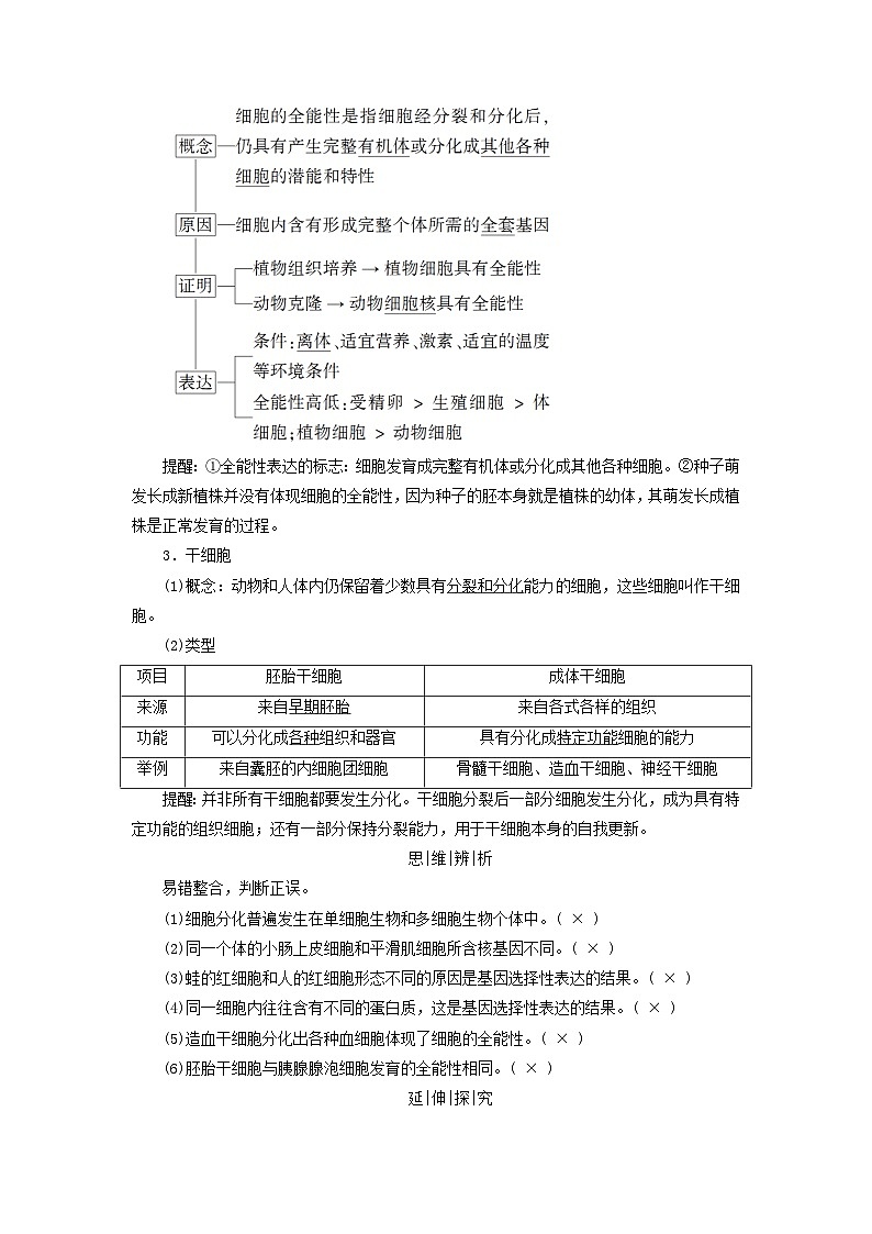 2025版高考生物一轮总复习教案必修1第四单元细胞的生命历程第三讲细胞的分化衰老和死亡考点一细胞的分化与细胞的全能性02
