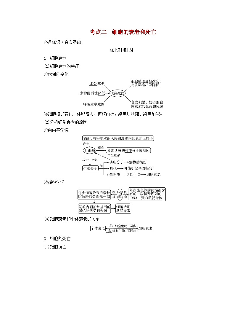 2025版高考生物一轮总复习教案必修1第四单元细胞的生命历程第三讲细胞的分化衰老和死亡考点二细胞的衰老和死亡01