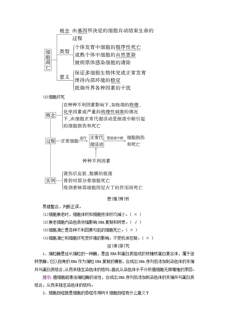 2025版高考生物一轮总复习教案必修1第四单元细胞的生命历程第三讲细胞的分化衰老和死亡考点二细胞的衰老和死亡02