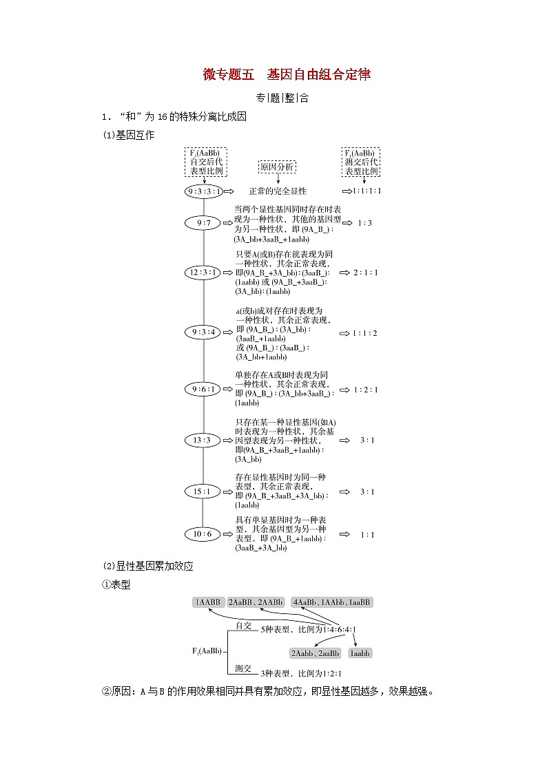 2025版高考生物一轮总复习教案必修2微专题5基因自由组合定律01