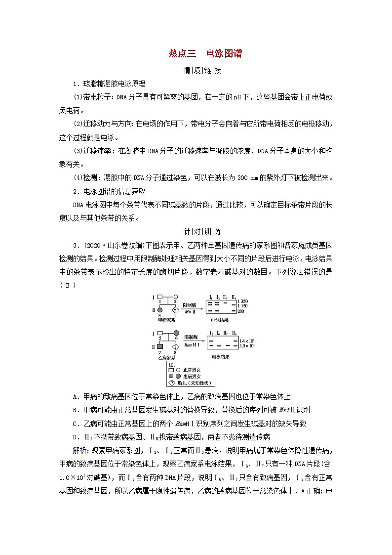 2025版高考生物一轮总复习教案必修2情境拓展4“剂量补偿效应”性染色体变异与电泳图谱热点三电泳图谱01