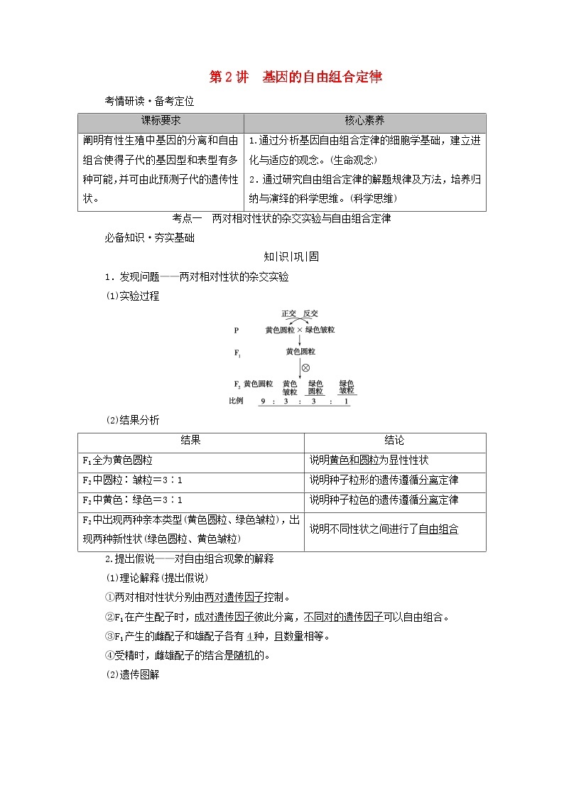 2025版高考生物一轮总复习教案必修2第五单元孟德尔定律和伴性遗传第二讲基因的自由组合定律考点一两对相对性状的杂交实验与自由组合定律01