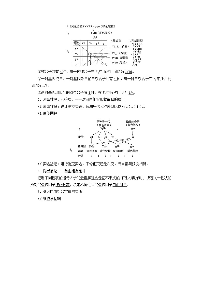2025版高考生物一轮总复习教案必修2第五单元孟德尔定律和伴性遗传第二讲基因的自由组合定律考点一两对相对性状的杂交实验与自由组合定律02