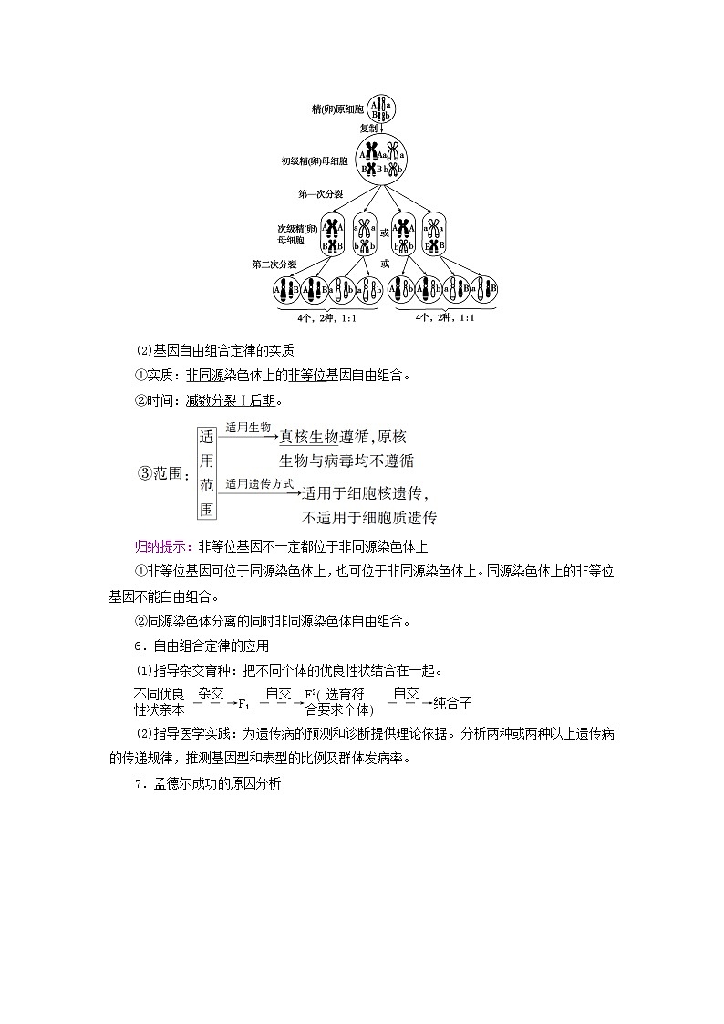 2025版高考生物一轮总复习教案必修2第五单元孟德尔定律和伴性遗传第二讲基因的自由组合定律考点一两对相对性状的杂交实验与自由组合定律03