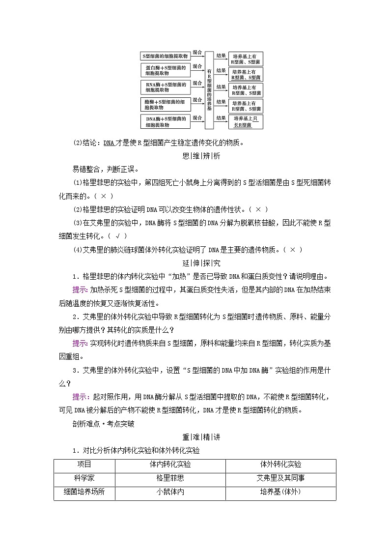 2025版高考生物一轮总复习教案必修2第六单元遗传的分子基础第一讲DNA是主要的遗传物质考点一肺炎链球菌转化实验02