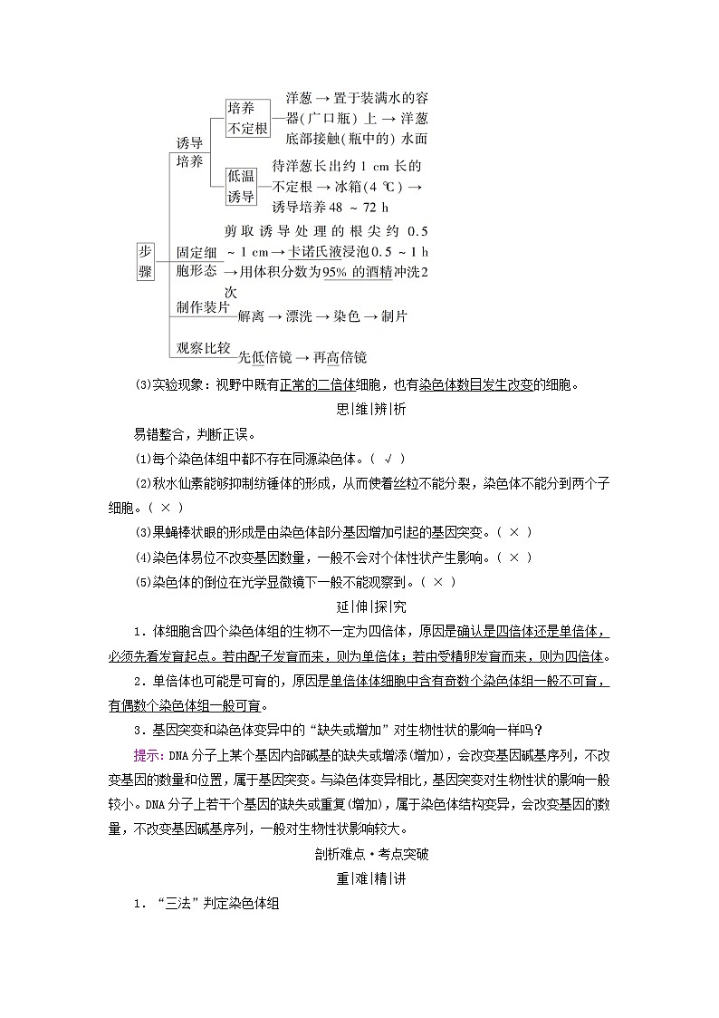 2025版高考生物一轮总复习教案必修2第七单元生物的变异育种与进化第二讲染色体变异及其应用考点一染色体数目变异和结构变异03
