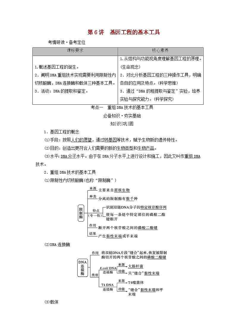 2025版高考生物一轮总复习教案选择性必修3第十单元生物技术与工程第六讲基因工程的基本工具考点一重组DNA技术的基本工具01